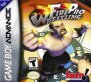Fire Pro Wrestling 2 (Game Boy Advance (GSF))