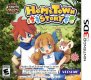 HomeTown Story (Nintendo 3DS (3SF))